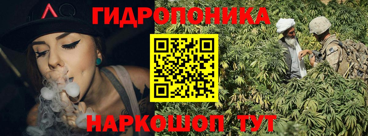 Марихуана LSD WEED  Вход с VPN  Конопля LSD WEED  Заволжье  Конопля гибрид 
